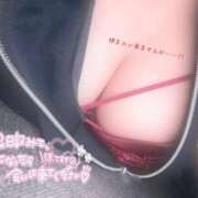 ヒメ日記 2026/01/11 09:07 投稿 しの いざ候 本館