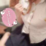 ヒメ日記 2026/01/19 14:17 投稿 しの いざ候 本館