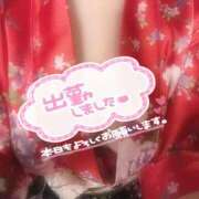 ヒメ日記 2026/01/22 15:17 投稿 しの いざ候 本館