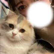 ヒメ日記 2026/01/20 09:57 投稿 うた★S級容姿端麗モデル級JD Chloe五反田本店　S級素人清楚系デリヘル