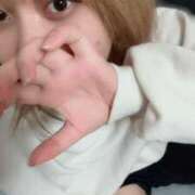 ヒメ日記 2025/11/09 02:15 投稿 せい 横浜コスプレデビュー（シンデレラグループ）