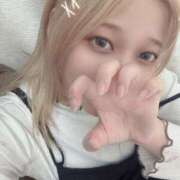 ヒメ日記 2025/11/14 11:02 投稿 せい 横浜コスプレデビュー（シンデレラグループ）