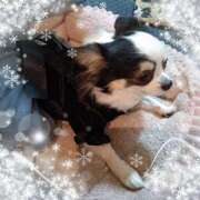 ヒメ日記 2026/02/17 11:56 投稿 空 鶯うぐ