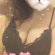 ヒメ日記 2025/11/10 12:48 投稿 明菜(あきな)奥様 金沢の20代30代40代50代が集う人妻倶楽部