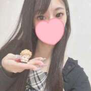 ねあ いただきのけしき プロフィール 京都店