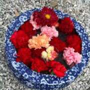 ヒメ日記 2026/01/25 12:05 投稿 ゆう シークレットタッチ