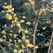 ゆう ３月🎵 シークレットタッチ