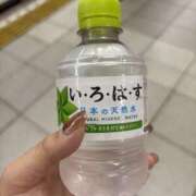 ヒメ日記 2025/11/08 07:49 投稿 つきみ スピードエコ日本橋店