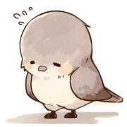 ヒメ日記 2025/11/04 19:33 投稿 白浜(しらはま) 八王子人妻城