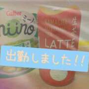 ヒメ日記 2025/11/07 10:48 投稿 白浜(しらはま) 八王子人妻城