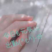 ヒメ日記 2025/11/18 09:57 投稿 白浜(しらはま) 八王子人妻城