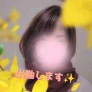 ヒメ日記 2025/12/09 09:48 投稿 白浜(しらはま) 八王子人妻城