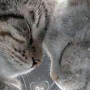 ヒメ日記 2025/12/14 12:23 投稿 ももな 熟女の風俗最終章 八王子店