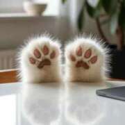 ヒメ日記 2025/12/05 16:33 投稿 ももな 熟女の風俗最終章 立川店