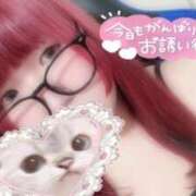 ヒメ日記 2026/09/11 01:02 投稿 しお 錦糸町ちゃんこ