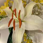 しの ご予約いただければ出勤します🙏🏻 福岡ちゃんこ大牟田店