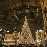 ヒメ日記 2025/11/27 15:06 投稿 いがらし イクイクサークル鶯谷店