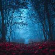 ヒメ日記 2025/12/07 21:24 投稿 ひいらぎ 桃李（とうり）