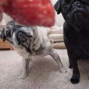 ヒメ日記 2026/03/09 12:40 投稿 小嶋 鶯谷人妻城