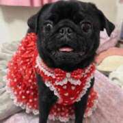 ヒメ日記 2026/03/16 00:04 投稿 小嶋 鶯谷人妻城