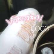 新人ココ きんちょ〜🤏 Celeb Garden(セレブガーデン)