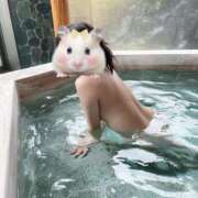 ヒメ日記 2026/02/26 14:28 投稿 るな★ 新潟風俗 Cherish Amulet