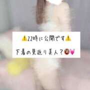 ヒメ日記 2026/02/20 19:34 投稿 ねる★S級！純白の現役音大生★ Chloe鶯谷・上野店 S級素人清楚系デリヘル