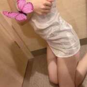 ヒメ日記 2025/11/15 08:37 投稿 りんか【Rinka】 The Date SHINAGAWA Premier【ザ・デート品川プレミア】