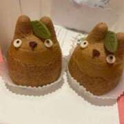 ヒメ日記 2025/12/17 00:18 投稿 おけつ とある風俗店♡やりすぎさーくる新宿大久保店♡で色んな無料オプションしてみました