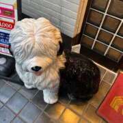 ヒメ日記 2025/12/29 16:36 投稿 おけつ とある風俗店♡やりすぎさーくる新宿大久保店♡で色んな無料オプションしてみました