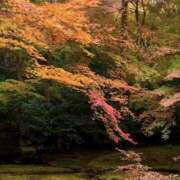 藤枝 綺麗な。。 熟女待機所 厚木店