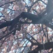 ヒメ日記 2026/03/24 22:20 投稿 きら パンドラ(上野)