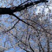 ヒメ日記 2026/04/09 17:57 投稿 きら パンドラ(上野)