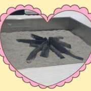 ヒメ日記 2026/01/28 20:45 投稿 宮原紗世 プレジデントクラブ