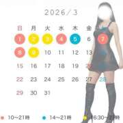 ヒメ日記 2026/02/20 16:01 投稿 宮原紗世 プレジデントクラブ