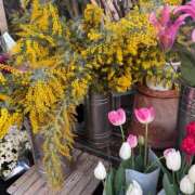 ヒメ日記 2026/03/05 07:03 投稿 宮原紗世 プレジデントクラブ