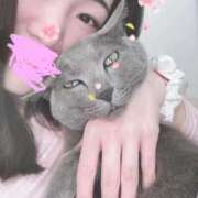 ヒメ日記 2025/11/20 10:04 投稿 麗（うらら） PLUS難波店