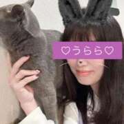 ヒメ日記 2026/02/05 08:04 投稿 麗（うらら） PLUS難波店