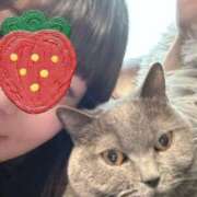 ヒメ日記 2026/02/27 17:41 投稿 麗（うらら） PLUS難波店