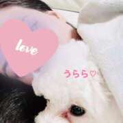 ヒメ日記 2026/03/03 08:15 投稿 麗（うらら） PLUS難波店