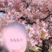 ヒメ日記 2026/03/08 15:51 投稿 麗（うらら） PLUS難波店