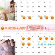 チナツ 明日から9月末までの予定? PLATINUM