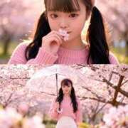 ヒメ日記 2026/03/04 11:49 投稿 矢田 新宿人妻城