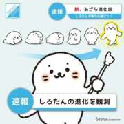 ヒメ日記 2026/04/01 12:14 投稿 矢田 新宿人妻城