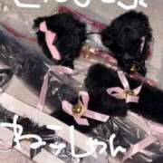 ヒメ日記 2025/11/04 18:31 投稿 【SP】ももね サマンサ(和歌山)