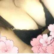 ヒメ日記 2025/11/25 12:00 投稿 多香子-たかこ- 人妻倶楽部 花椿大崎店