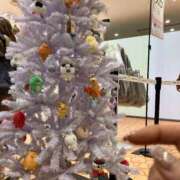 ヒメ日記 2025/12/28 11:56 投稿 夕奈【ユウナ】 輝女