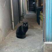 ヒメ日記 2026/01/03 17:30 投稿 夕奈【ユウナ】 輝女