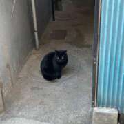 ヒメ日記 2026/01/04 16:37 投稿 夕奈【ユウナ】 輝女