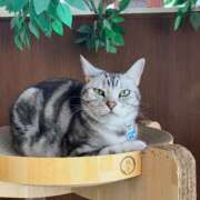 ヒメ日記 2026/03/14 13:47 投稿 夕奈【ユウナ】 輝女